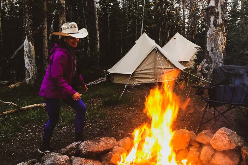 Sibley 300 ProTech - obrazek 6