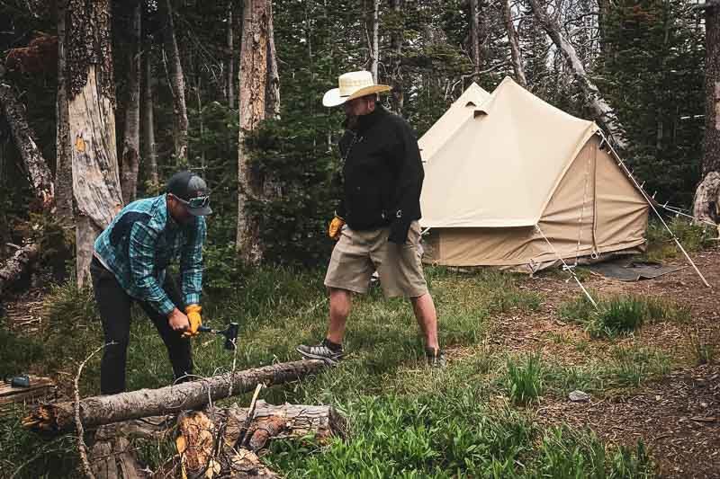 Sibley 300 ProTech - obrazek 9